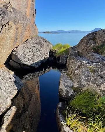 Svanetunet Sigfrida Daire Lodingen