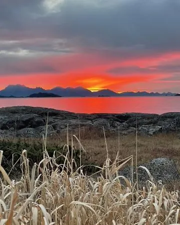 Svanetunet Sigfrida * Lodingen
