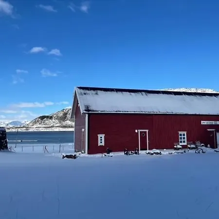 Svanetunet Sigfrida * Lodingen