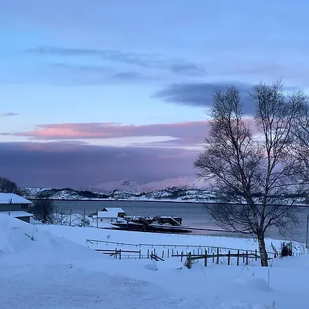 Svanetunet Sigfrida Daire *