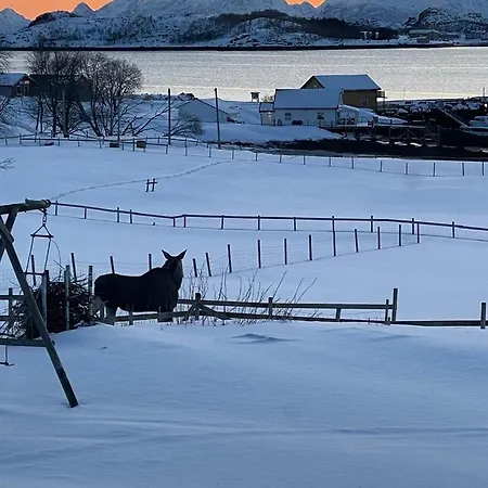Svanetunet Sigfrida Daire
