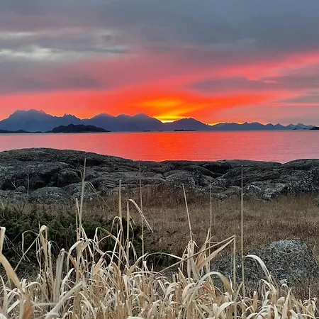 Svanetunet Sigfrida * Lodingen