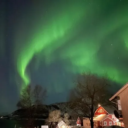 Svanetunet Sigfrida Lødingen